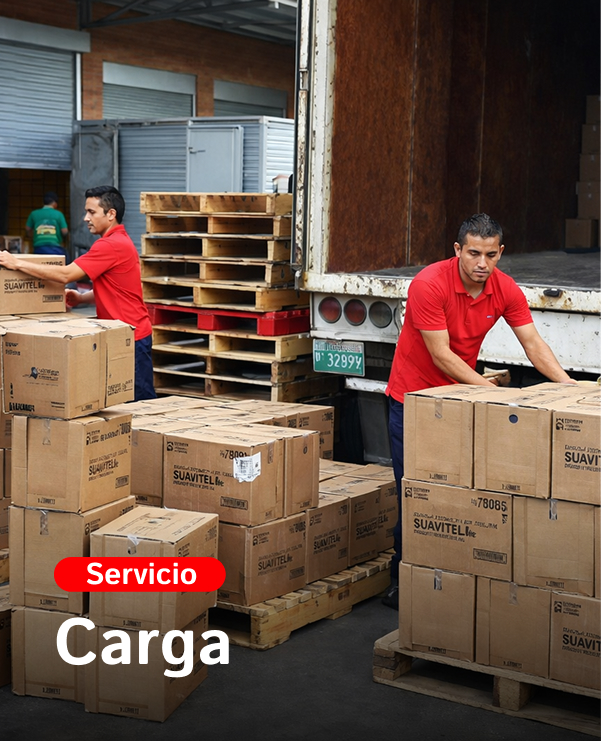 Carga